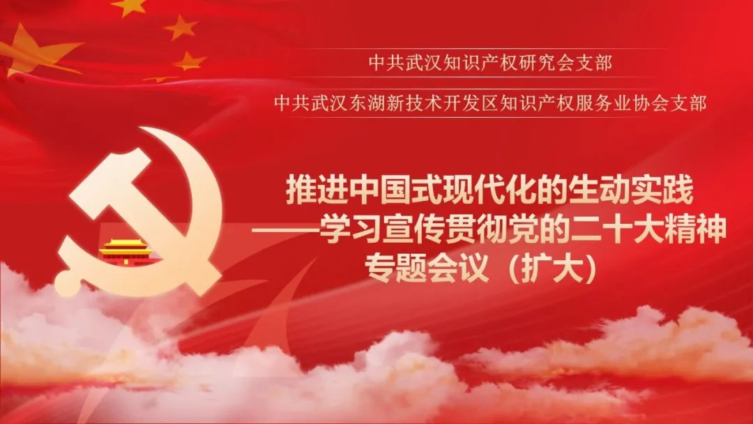 推进中国式现代化的生动实践——“两会”党支部联合学习宣传贯彻党的二十大精神专题会议（扩大）在线召开